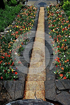 High angle shot of a flower garden and a staircase with a waterfall on the island of Mainau