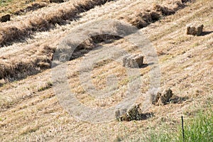 High angle shot of a hayfield under the sunlight