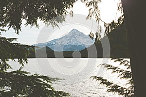 High angle shot of a lake with a forest on the shore and a snowy peak in the background