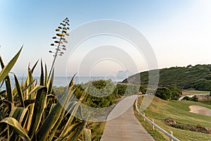 High angle shot of a pathway in a golf resort in La Alcaidesa