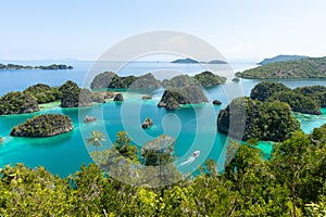 High angle shot of Piaynemo Natural Park in the ocean captured in Raja Ampat, Fam Islands photo