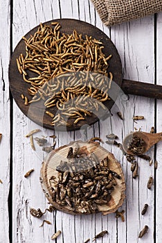 Edible fried worms and crickets photo