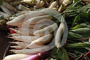 High angle shot of a pile of white carrots (arracacha) in the farmer\'s marke photo