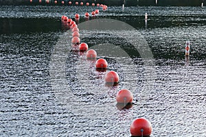 High angle shot of red buoys on Cheat Lake near Morgantown West Virginia