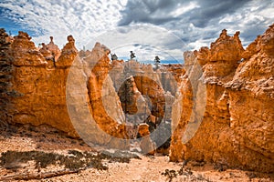 High angle shot of the rocks of the Bryce Canyon National Park in Utah, USA