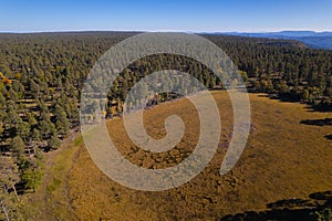 High angle shot of a Sitgreaves National Forest in front of high mountains