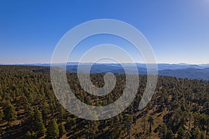 High angle shot of a Sitgreaves National Forest in front of high mountains and the Mgollon Rim