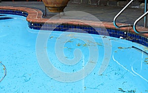 High angle shot of a swimming pool with dry leaves on the water