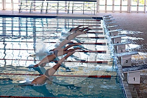 Swimmers plunging in the pool photo