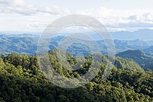 High angle tropical forest, Green forest aerial view and environmental technology concept. Green tech. Ecology. Green