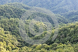 High angle tropical forest, Green forest aerial view and environmental technology concept. Green tech. Ecology. Green