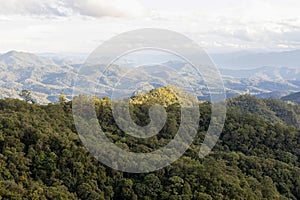High angle tropical forest, Green forest aerial view and environmental technology concept. Green tech. Ecology. Green