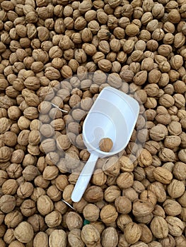 High angle vertical shot of a pile of walnuts with plastic food shovel scoop