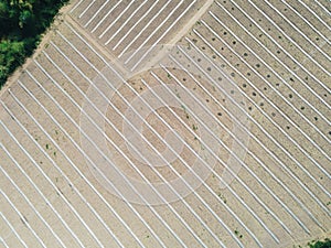 high angle view of agriculture , aerial view rows of crop fields top view - rows of soil planting plant sowing seeds on a