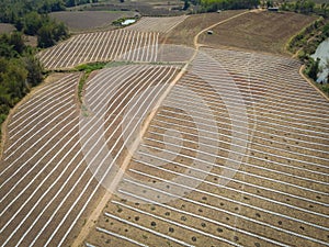 high angle view of agriculture , aerial view rows of crop fields top view - rows of soil planting plant sowing seeds on a