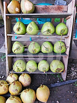 High Angle View, of coconut Fruits in market