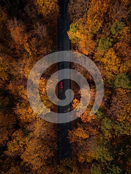 High-angle view of colorful trees and a road during the sutumn in Germany.