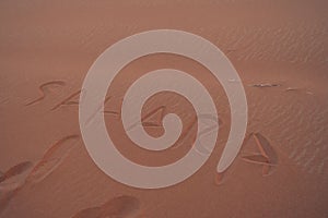 High-angle view of footprints and the word Sahara on the sand