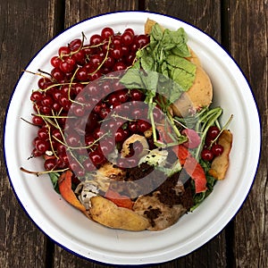 High angle view of fresh organic rubbish with red currants in a small white bowl for recycling