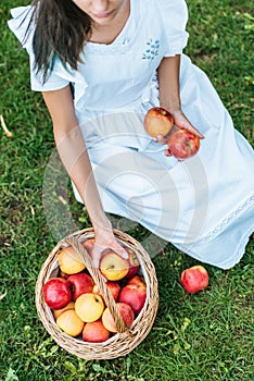 high angle view of girl with fresh picked apples in wicker basket sitting