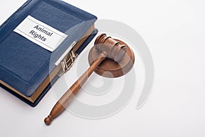 High angle view of judge gavel and blue book with animal rights inscription
