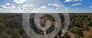 High angle view of Kalmthoutse Heide nature reserve in Kalmthout, Belgium