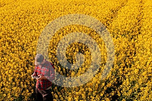 High angle view of male farmer using drone remote controller in cultivated rapeseed field. Farm worker with trucker`s hat and red