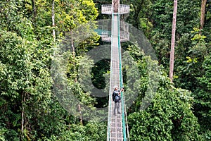 High angle view of man taking photo at suspension bridge in tree top canopy walkway in Danum valley rain forest