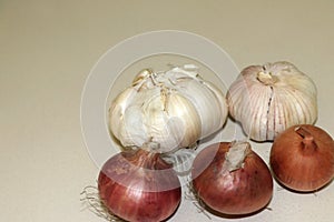 High Angle View Of Onions And Garlic on white background whole and cloves with copy space