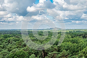 High angle view over the woods around the Zwarte Beek nature reserve Beringen, Belgium