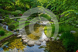 High angle View in quick stream in japanese gardeen in Albert Kahn park photo