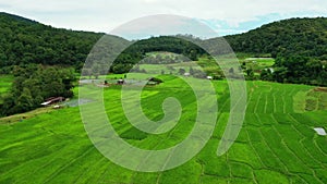 High angle view of rice terrace in chiang mai northern of thailand