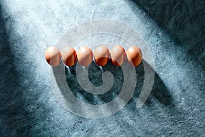 High angle view of row of brown eggs casting shadows on rustic concrete background