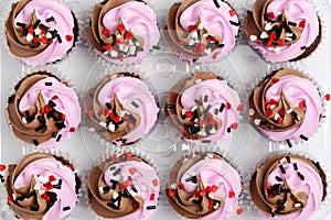 High angle view rows of valentines day cupcakes