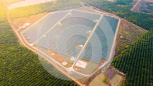 High angle view of solar panels on an energy farm