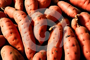 High-angle view of a stack of raw sweet potatoes