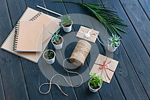 high angle view of succulents in pots, notebooks, palm leaf, rope and envelopes