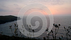 High angle view of sunset on seaside blurred flowers