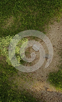 High angle view tree and green grass on hill nature scene