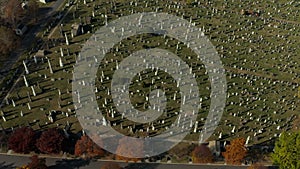 High angle view of various tombstones on green lawn. Autumn trees along path in old Calvary Cemetery. Queens, New York
