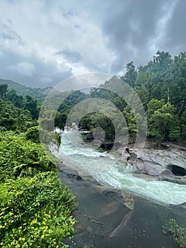 High-angle view of water flowing over Babinda Boulders surrounded by mesmerizing trees in Queensland