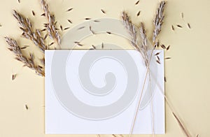 High-angle view of a white card with wheats - wedding card decoration ideas