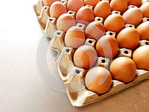 High angleâ€‹ viewâ€‹ Eggsâ€‹ organicâ€‹inâ€‹ in panel.