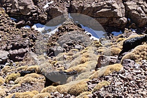 High Atlas Mountains in Morocco.  Road to Toubkal in Toubkal National Park