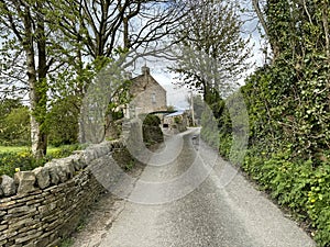 High Bradley Lane, with dry stone walls and trees, on a cloudy day in, Bradley, Yorkshire, UK