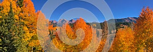 A high cabin surrounded by the vibrance of Fall on Molas Pass Colorado