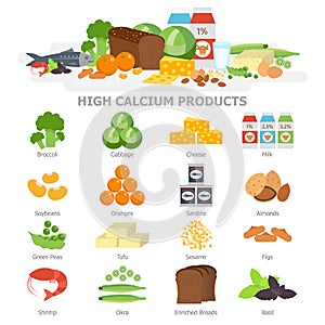 High calcium food infographic elements flat vector illustration, banner. The products with calcium icon set, vegetables