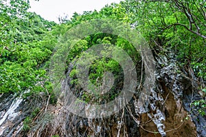 High cliff in forest with stalactite