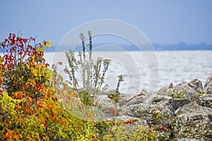 Fall Scenery at High Cliff State Park. Sherwood, WI photo