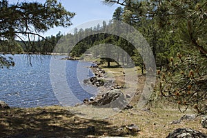 High Country Woods and Lake of Arizona